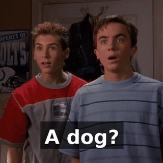 A dog?