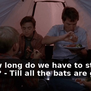 - How long do we have to stay in here? - Till all the bats are gone.