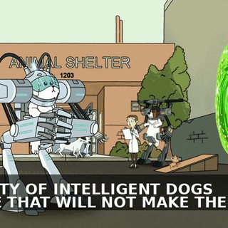 7d2a7070-c97d-4f93-94c1-052b76643ead.gif