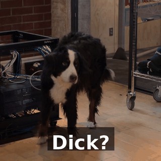 Dick?