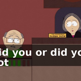 Did you or did you not