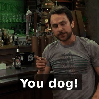 You dog!