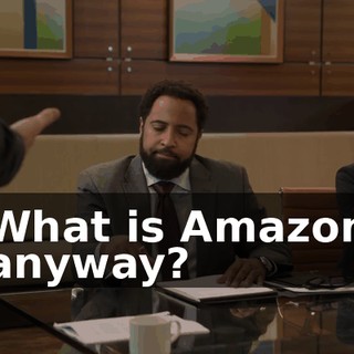 What is Amazon anyway?
