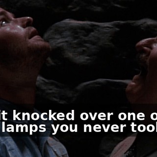 And it knocked over one of the heat lamps you never took in.