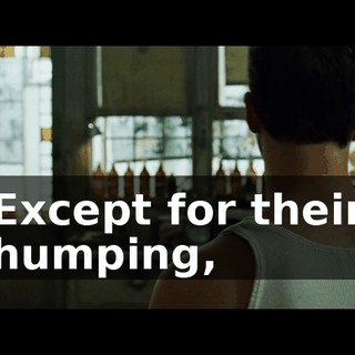 Except for their humping,