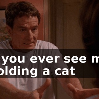 if you ever see me holding a cat