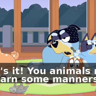 That's it! You animals need to learn some manners.