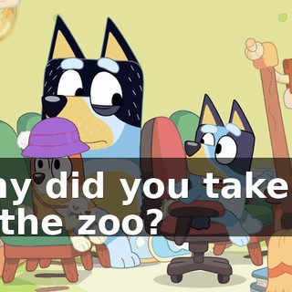 Why did you take us to the zoo?