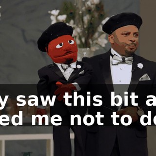 they saw this bit and asked me not to do it.