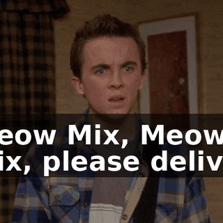 ♪ Meow Mix, Meow Mix, please deliver ♪