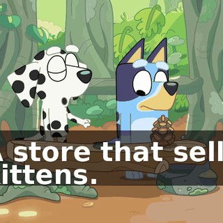 A store that sells kittens.