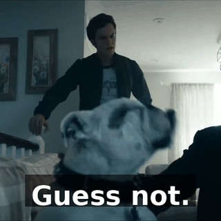 7fe6f874-503a-4525-a5b6-f77302a63242.gif