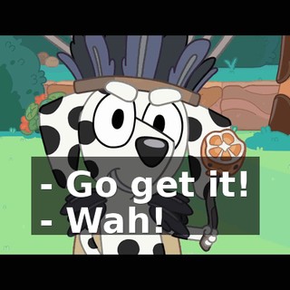 - Go get it! - Wah!