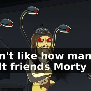 I don't like how many adult friends Morty has.