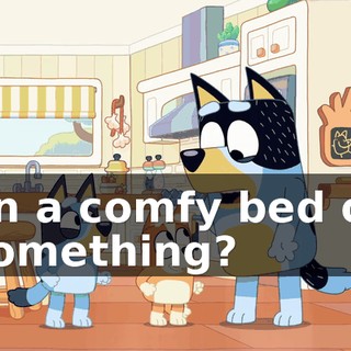 on a comfy bed or something?