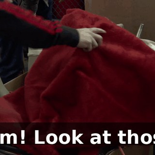 80464681-8c6a-4921-89d1-97c3e556dfe7.gif