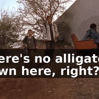 There's no alligators down here, right?
