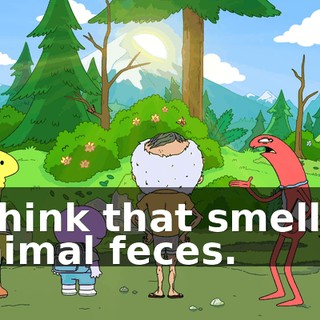 I think that smell is animal feces.