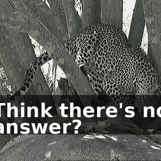 80b5496d-3031-4965-8503-f52c76e2df53.gif
