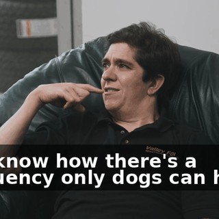 80f4271c-3741-4847-a907-cc8e5aac160c.gif