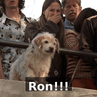 Ron!!!
