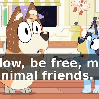 Now, be free, my animal friends.