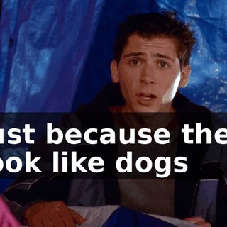 Just because they look like dogs