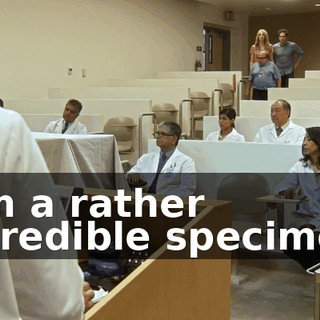 81f1873c-2aff-4f22-90c0-ed6e990f4a20.gif