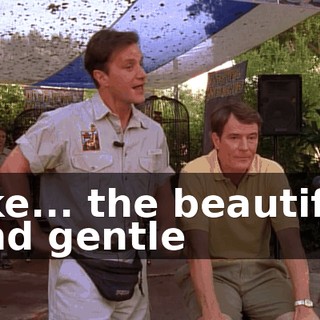 like... the beautiful and gentle