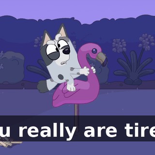 82081e2c-aa5b-42c0-970d-7e8bcb7fedfe.gif