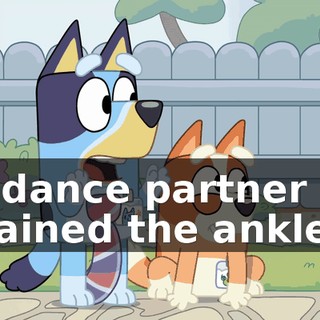 My dance partner has sprained the ankle.