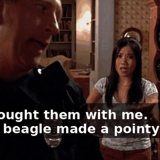 - I brought them with me. - The beagle made a pointy foot.