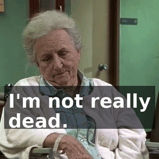 82e27bff-2ea1-4460-a605-6d172ab14e00.gif