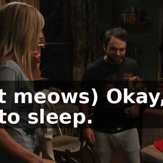 (cat meows) Okay, I'll go to sleep.