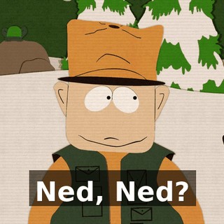 Ned, Ned?
