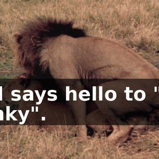 and says hello to "Mr. Winky".