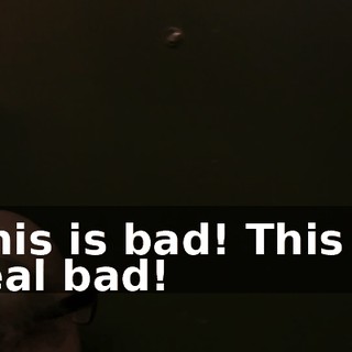 83f2ae80-7c27-4278-9c0b-9015aaa2e9b6.gif