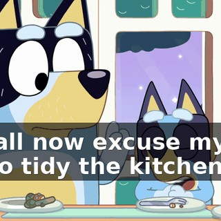 I shall now excuse myself to go tidy the kitchen.