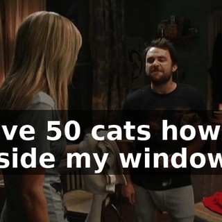 I have 50 cats howling outside my window,