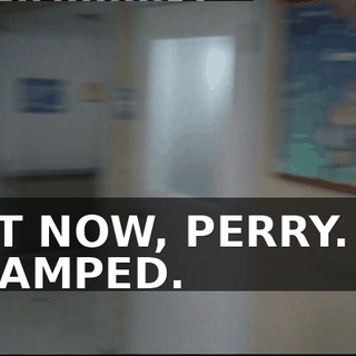 84242896-f902-4187-a588-465426c4382e.gif