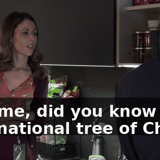 Tell me, did you know that the national tree of Chile