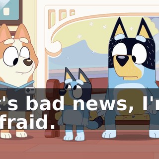 84953706-50f2-43ed-89d4-1db05ce5df0a.gif