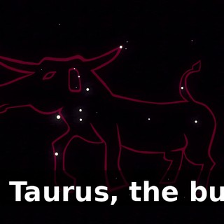 of Taurus, the bull.