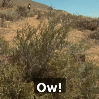 Ow!