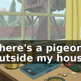 There's a pigeon outside my house