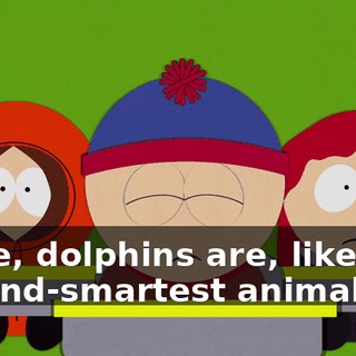 857e5153-69a0-4602-b433-8e7ca51b8da1.gif