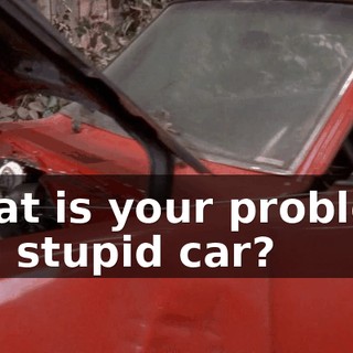 What is your problem, you stupid car?