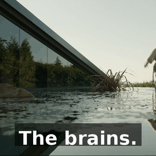 867a2796-2ca2-4318-81c4-c91cfb46277f.gif