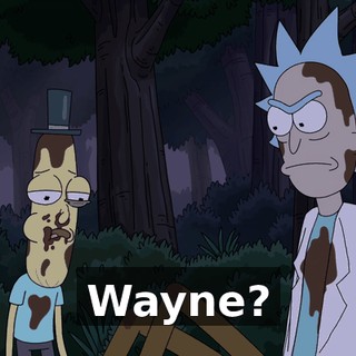 Wayne?