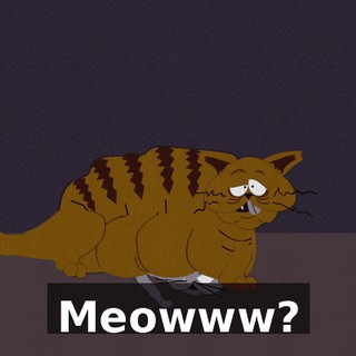 Meowww?